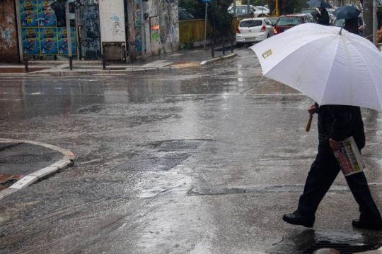Πτώσεις δέντρων στη Θεσσαλονίκη από την κακοκαιρία «Ilina»
