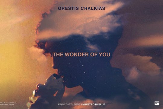 The Wonder Of You