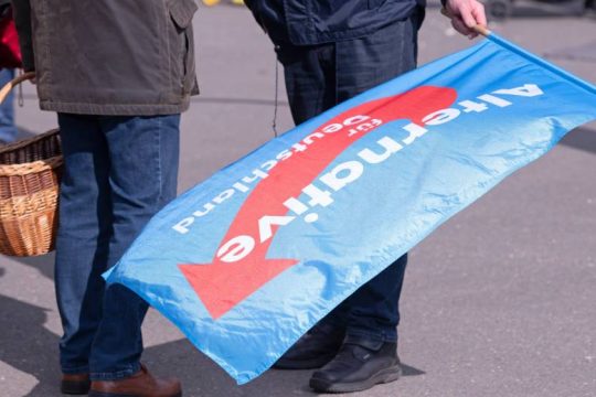 Σταθερά δεύτερο το AfD στη Γερμανία παρά τα σκάνδαλα