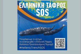 Καμπάνια για την ανακήρυξη της Ελληνικής Τάφρου ως Θαλάσσιας Προστατευόμενης Περιοχής