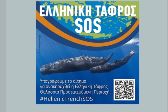 Καμπάνια για την ανακήρυξη της Ελληνικής Τάφρου ως Θαλάσσιας Προστατευόμενης Περιοχής