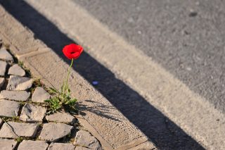 Αριστερή αναγέννηση…
