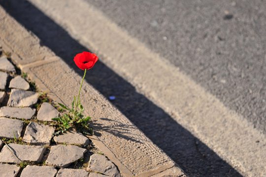Αριστερή αναγέννηση…