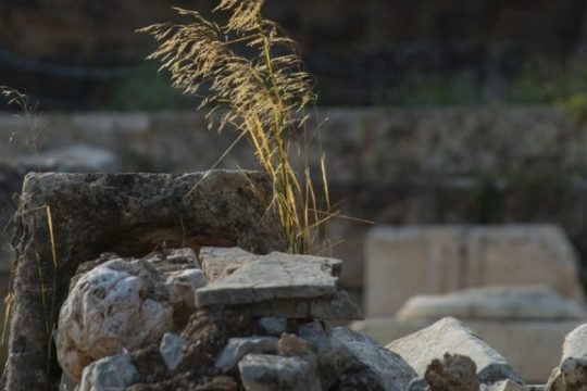 Ακουστική μύηση στα Ελευσίνια Μυστήρια, με τα μάτια κλειστά