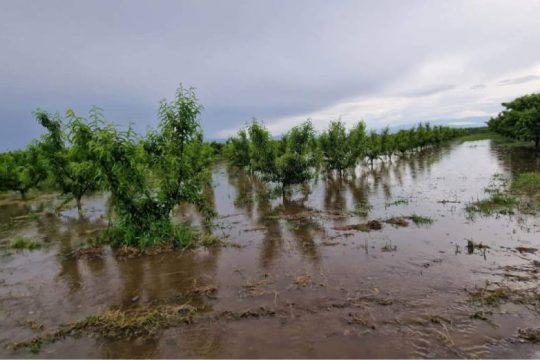 Έκκληση να κηρυχθεί ο Δήμος Πέλλας σε κατάσταση έκτακτης ανάγκης