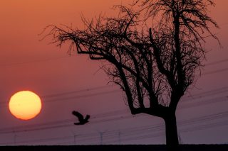Ανοιχτή συνέλευση της Κίνησης για την Προστασία των Νησίδων 