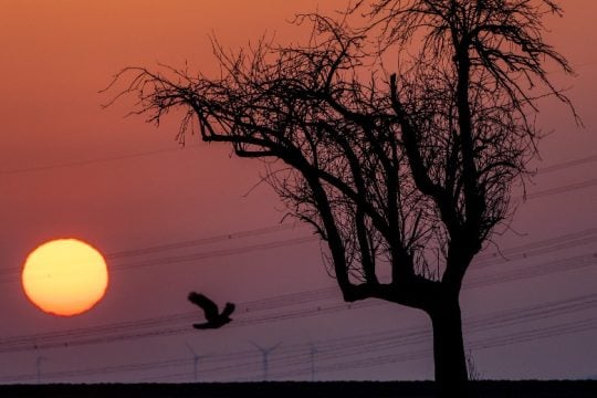 Ανοιχτή συνέλευση της Κίνησης για την Προστασία των Νησίδων 