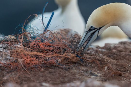 Greenpeace: Για μια Παγκόσμια Συνθήκη για τα Πλαστικά