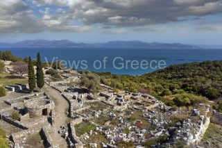 Στην Αρχαία Ραμνούντα και στον πευκώνα του Σχινιά