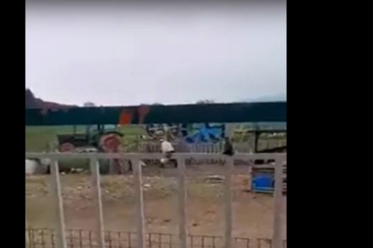 Αποτρόπαιο περιστατικό κακοποίησης ζώου από 87χρονο