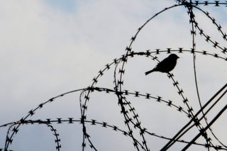 Ενας δημοσιογράφος (περαστικός) στη φυλακή