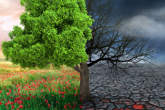 Να σπάσουμε τη σιωπή γύρω από την κλιματική κρίση