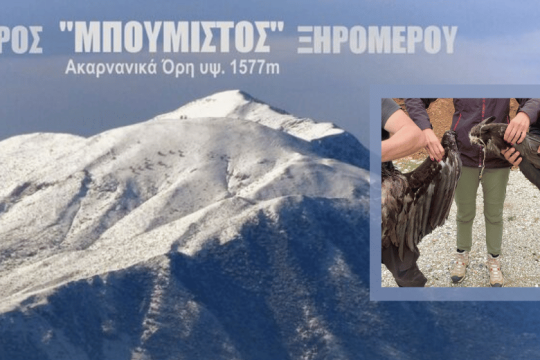 Ελεύθερος από αιολικά ο Μπούμιστος