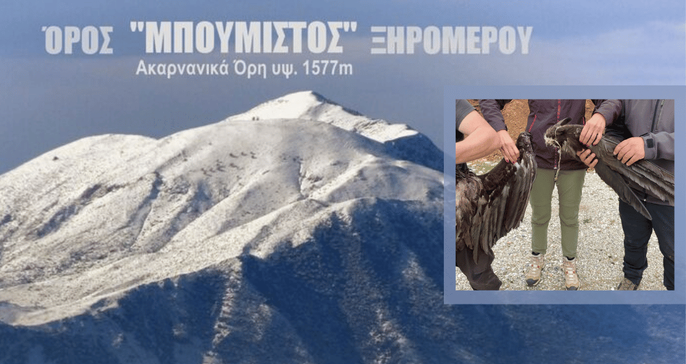 Ελεύθερος από αιολικά ο Μπούμιστος
