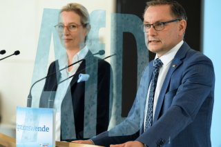 Ποιος ανέθρεψε το AfD