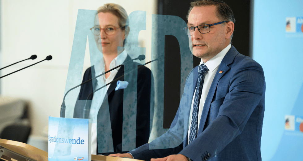 Ποιος ανέθρεψε το AfD
