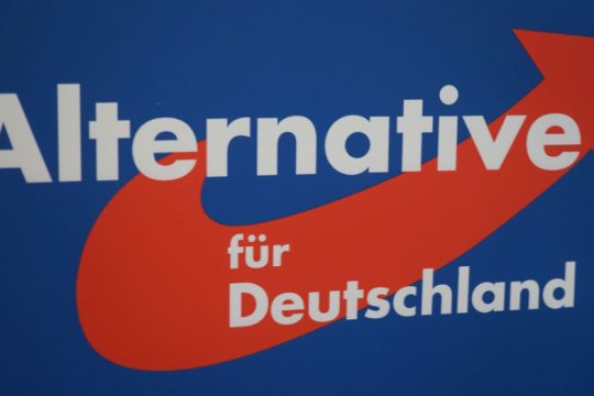 Γερμανία: Ποσοστά – ρεκόρ για την ακροδεξιά AfD σε νέα δημοσκόπηση