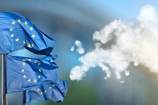 Ούτε γάτα ούτε ζημιά…