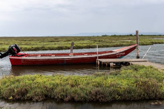 Η κυβέρνηση παραδέχεται την παρουσία 80 προσφύγων σε ελληνικό έδαφος στον Έβρο