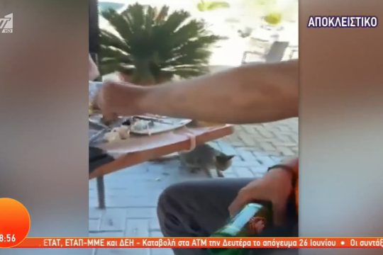 Κακοποιούν ζώα για να… σπάσουν πλάκα