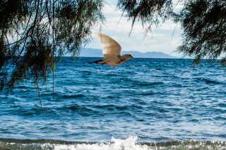 Το καλοκαίρι έρχεται από το τρίτο δεκαήμερο του Ιουνίου