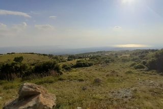 Ανεφύη εκ της τέφρας του ο «Κισσός» στον Χορτιάτη