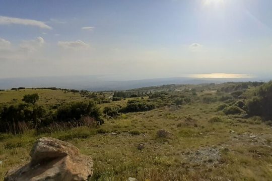 Ανεφύη εκ της τέφρας του ο «Κισσός» στον Χορτιάτη