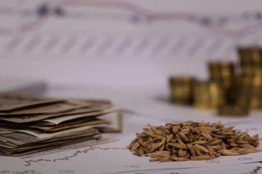 Επισιτιστική επισφάλεια από τις τιμές σε ρύζι και σιτάρι