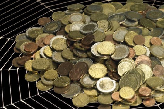 Η σοφία του συστήματος και τα έμβια όντα