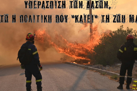 Υπεράσπιση των δασών, κάτω η πολιτική που «καίει» τη ζωή μας