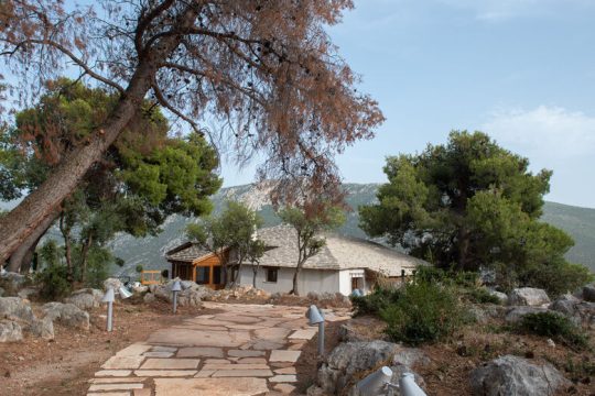 Ο Πικιώνης, ένα χαϊκού και η φύση