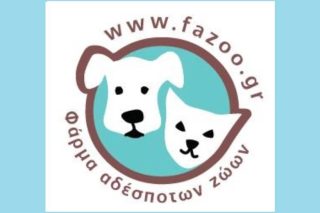 Για το Fazoo