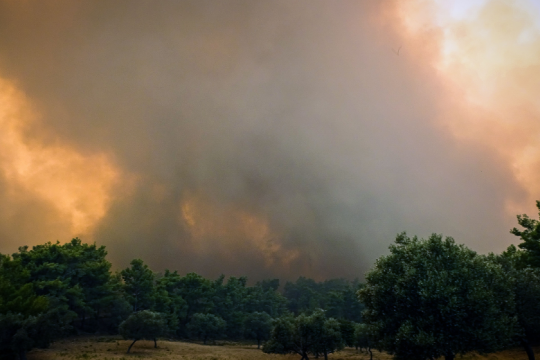 Πέντε περιοχές σε ακραίο κίνδυνο πυρκαγιάς τη Δευτέρα