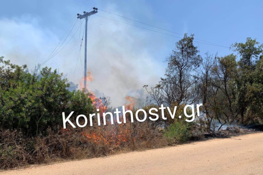 Δύσκολη κατάσταση στην Καλλιθέα Λουτρακίου από το πύρινο μέτωπο