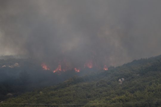 πυρκαγιά