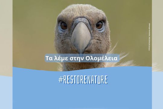 Αποκατάσταση της φύσης