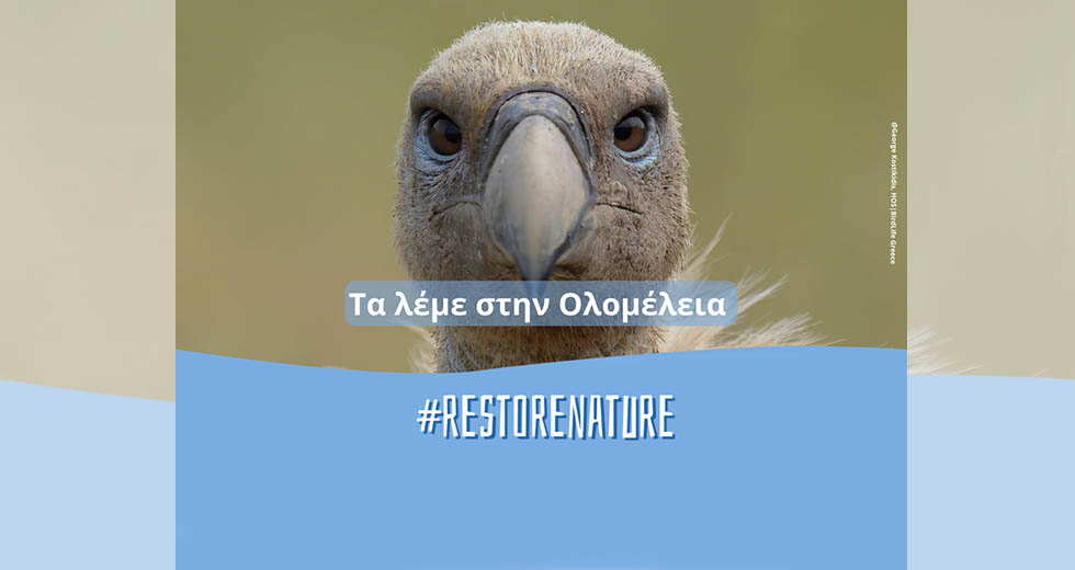 Αποκατάσταση της φύσης
