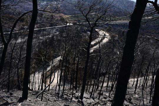 Καμένη κυβέρνηση