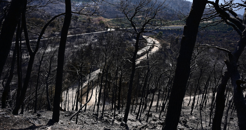 Καμένη κυβέρνηση