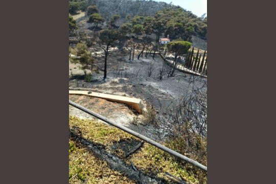 «Από τύχη ζούμε σε αυτή τη χώρα»