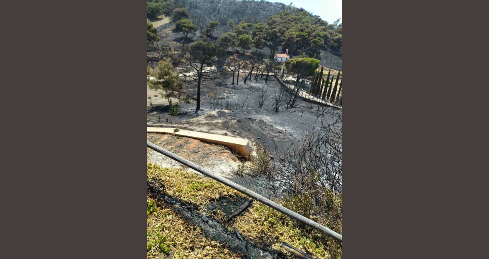 «Από τύχη ζούμε σε αυτή τη χώρα»