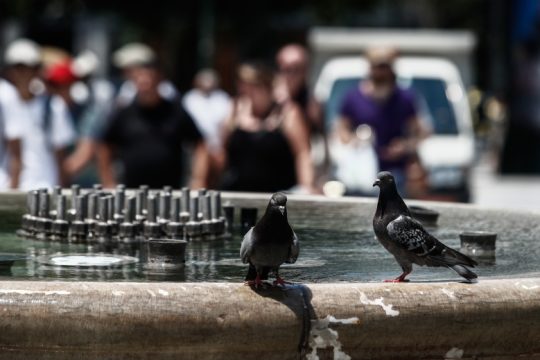 Συστάσεις για τον καύσωνα: Ποιοι πρέπει να προσέχουν περισσότερο