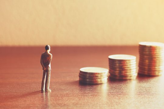Μια ποικιλότητα ιστορικά εφικτή και αναγκαία