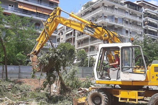 Νέα διαμάχη για κοπή 15 δέντρων στη Θεσσαλονίκη