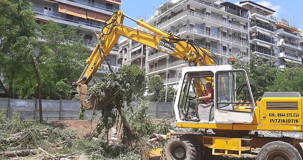 Νέα διαμάχη για κοπή 15 δέντρων στη Θεσσαλονίκη