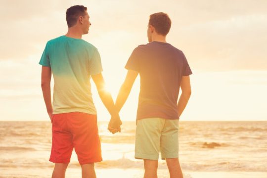 Δημοσκόπηση Pulse: Διχασμένο το κοινό για γάμους ομόφυλων ζευγαριών και ιδιωτικά πανεπιστήμια