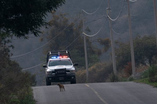 Μεξικό: Οι εξαφανίσεις πολιτών αυξήθηκαν κατά 200% σε δέκα χρόνια