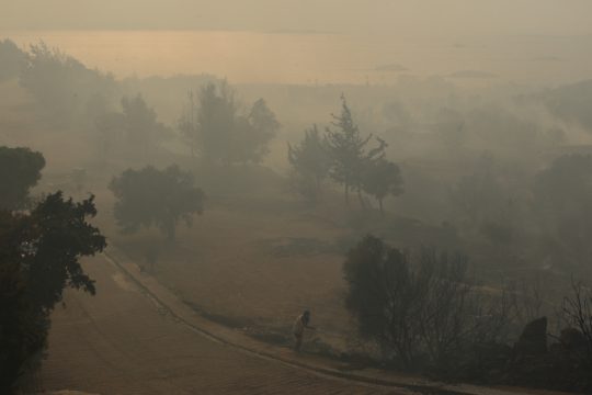 Οργή και διαμαρτυρίες μέσα στην πύρινη λαίλαπα [βίντεο]