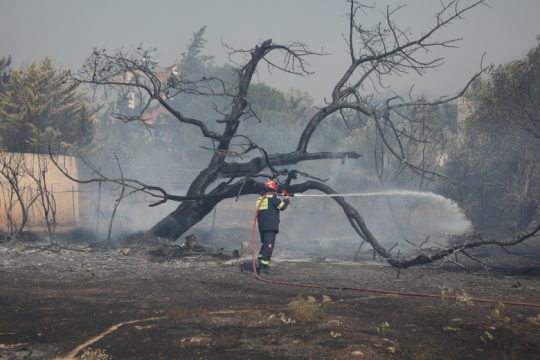 Σε κατάσταση συναγερμού: Εκτός ελέγχου πυρκαγιές μέσα σε λίγες ώρες