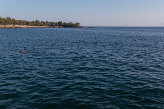 Προσάραξε τουριστικό σκάφος στη Θάσο, τραυματίστηκε 55χρονος